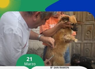 Municipalidad de Goya refuerza la salud animal con vacunación antirrábica gratuita