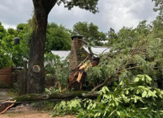 Tornado en Isla Apipé: voladuras de techos y varias familias incomunicadas