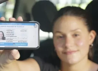 El Gobierno modificó la Ley de Tránsito: los cambios en la licencia de conducir, VTV y peajes