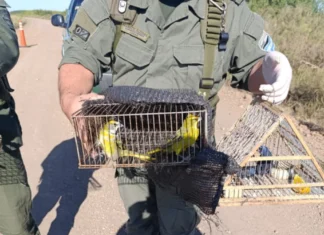 Fue condenado a prisión por cazar aves en peligro de extinción