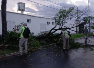 Tras la tormenta se realizaron trabajos para retomar la normalidad en la ciudad