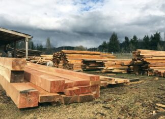 Forestal en Santo Tomé paraliza su actividad