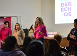 Detuvieron a una funcionaria del Ministerio de la Mujer por el ataque a la casa de Espert