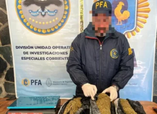 Terminal de Corrientes: secuestraron una encomienda con marihuana