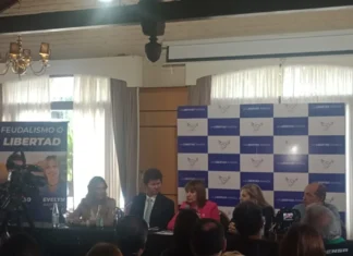 Patricia Bullrich, sobre el caso de Cristian Schaerer