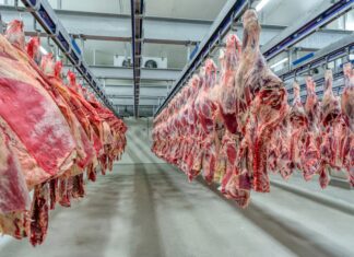 El Gobierno extendió la quita temporal de retenciones también a las carnes bovinas y avícolas