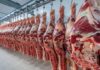 Estados Unidos analiza cuadruplicar la importación de carne argentina