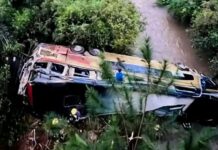 Quiénes eran las nueve víctimas fatales del micro que chocó y cayó a un arroyo