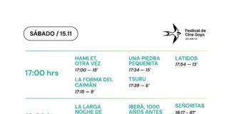 Festival del Cine Goya 4ª Temporada