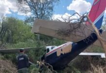 Cayó una avioneta cargada con más de 140 kilos de cocaína