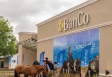 El Banco de Corrientes se consolidó como motor financiero del agro en 2025