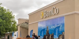 El Banco de Corrientes se consolidó como motor financiero del agro en 2025