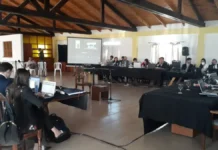 Nuevo sistema en la Justicia Federal: en 5 años hubo 1540 condenas, la mayoría por drogas