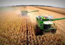 El Gobierno decretó una reducción de impuestos a las exportaciones para el campo