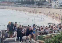 La Policía de Australia confirmó que el ataque antisemita en Sídney fue perpetrado por un padre y su hijo