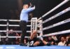 El brutal nocaut que estremeció al mundo del boxeo