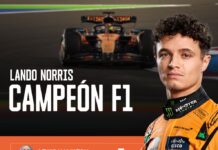 La emoción de Lando Norris luego de conquistar su primer título en la F1