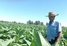El IPT recibió fondos pertenecientes a la actividad cosecha