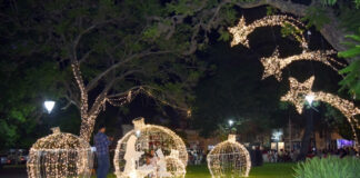 Navidad en Plaza Mitre: Luces, historia y el armado detrás del gran arbolito