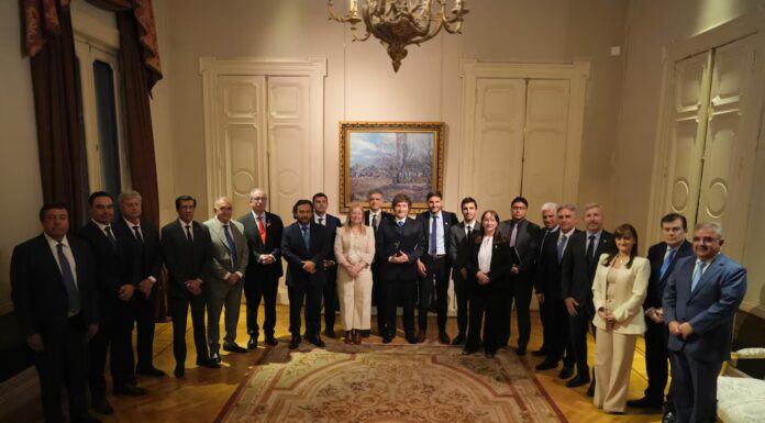 Apoyo a los aliados y desafío a la oposición: los planes en las provincias de La Libertad Avanza para 2027