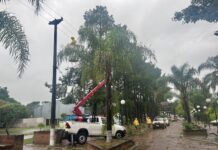 Temporal en Mburucuyá: la localidad sin energía eléctrica y con graves destrozos