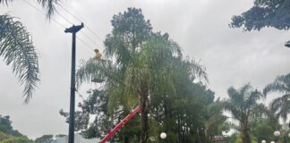 Temporal en Mburucuyá: la localidad sin energía eléctrica y con graves destrozos