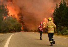 Situación extrema por los incendios en Chubut: “Es la peor tragedia ambiental en 20 años”