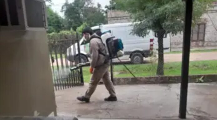 d2b00f74-7ca1-4011-a8c9-4575d7d69d2d