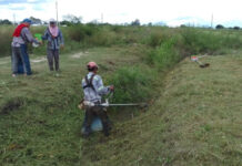 Tareas programadas de mantenimiento en distintos barrios de la ciudad