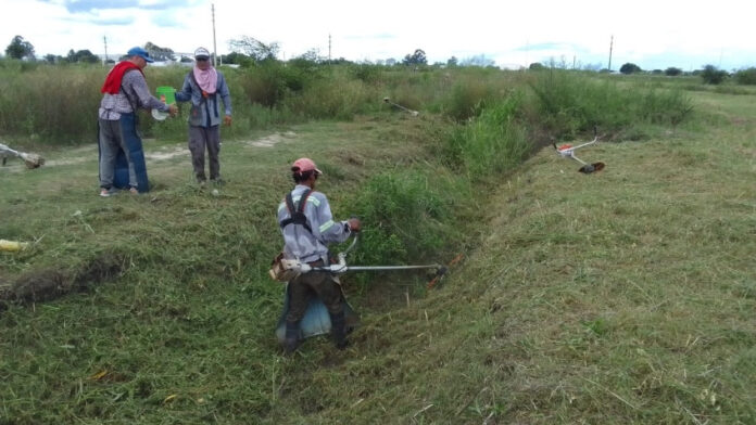 prodego_barrio_coemb