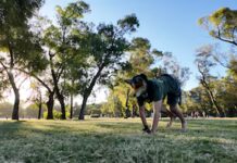 Insolito: San Luis una persona therian fue a una veterinaria a atenderse porque tenía “moquillo”