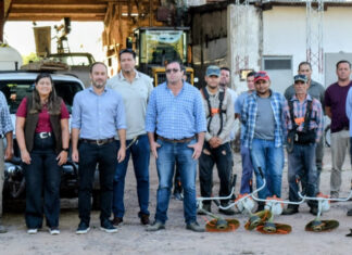 Inicio de operativo de desmalezamiento, desinfección escuelas rurales