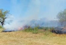 Demoraron a dos jóvenes por quema de pastizales en Corrientes