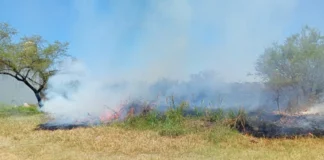 Demoraron a dos jóvenes por quema de pastizales en Corrientes