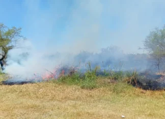 Demoraron a dos jóvenes por quema de pastizales en Corrientes
