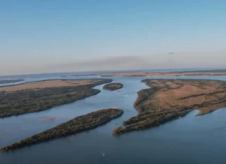 Corrientes: detuvieron a un hombre por homicidio en la Isla Apipé Chico