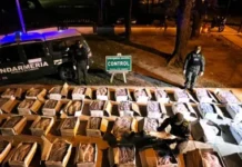 Detectan una tonelada de pescado camuflado entre cajones de verdura