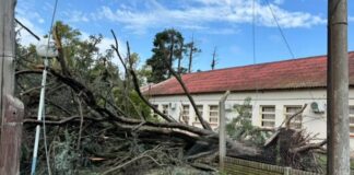 Tornado y destrozos en el sur santafesino