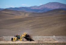 La economía argentina creció 4,4% en 2025: cuáles fueron los sectores que traccionaron la actividad