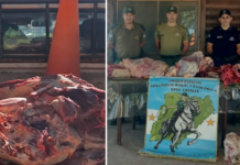 Lavalle: Faena clandestina y carne ilegal, secuestran 120 Kilos