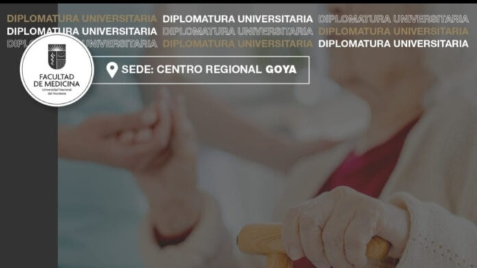 diplomatura_unn (1)