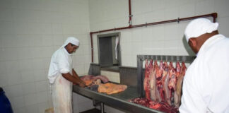 Inauguración del Periodo Ordinario de Sesiones 2026 del HCD