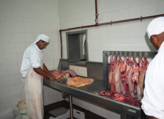 Inauguración del Periodo Ordinario de Sesiones 2026 del HCD