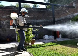 Aumenta el riesgo de dengue en Corrientes: cuáles son las medidas de prevención