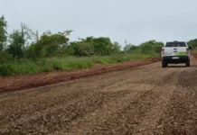 El Gobierno de Corrientes avanza con obras en la Ruta Provincial 74