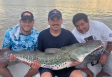 Corrientes: pescaron un surubí de 40 kilos en el río Paraná