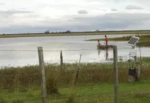 Desesperada búsqueda de un joven que cayó con su auto a la Laguna Iberá