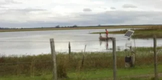 Desesperada búsqueda de un joven que cayó con su auto a la Laguna Iberá