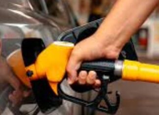 Por decreto el Gobierno postergó el aumento de impuestos al combustible