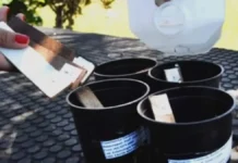 Dengue: capacitación y entrega de ovitrampas para controlar el vector